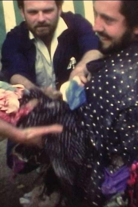 Chutes de Michel Nedjar